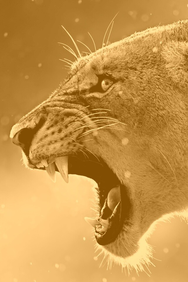 Грозный львиный рык обои