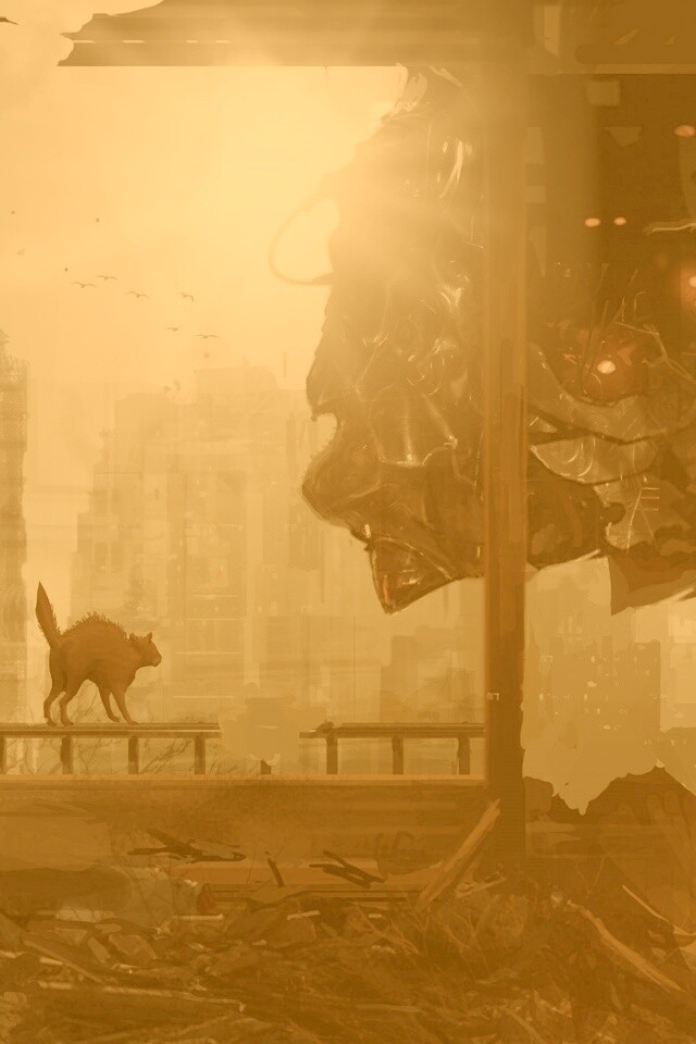 Кошкино удивление обои