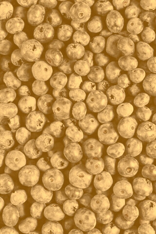 Черника обои