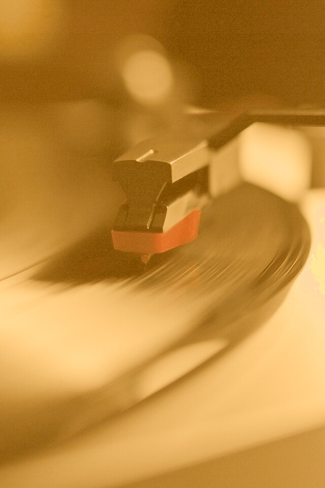 Пластинка обои