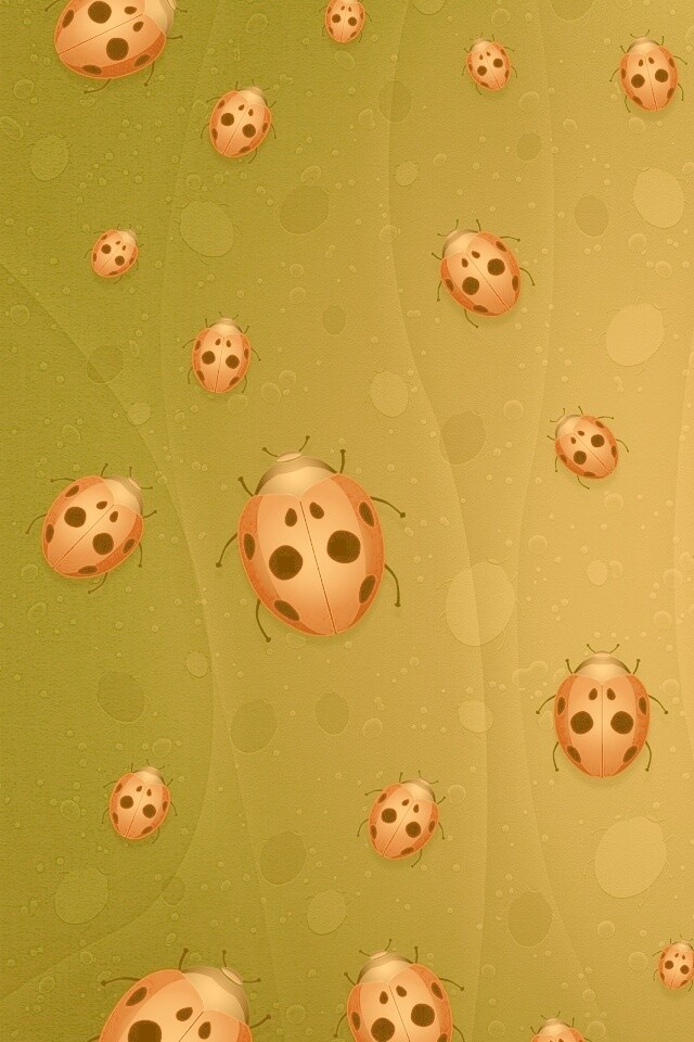Божьи коровки обои