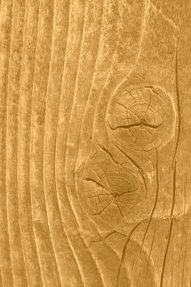 Сучковатое дерево обои