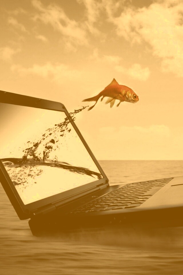 Золотая рыбка обои