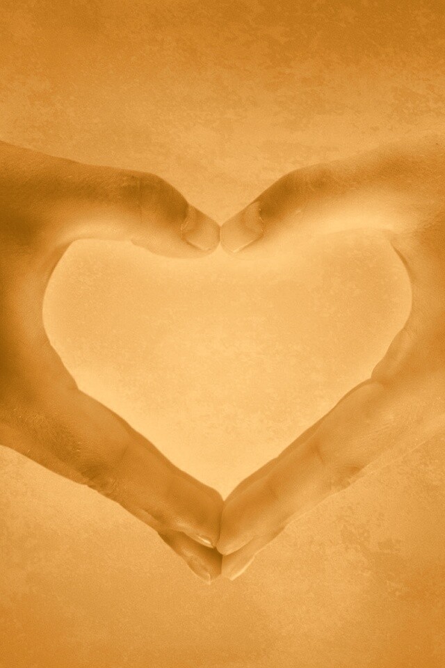 Сердце из сложенных рук обои