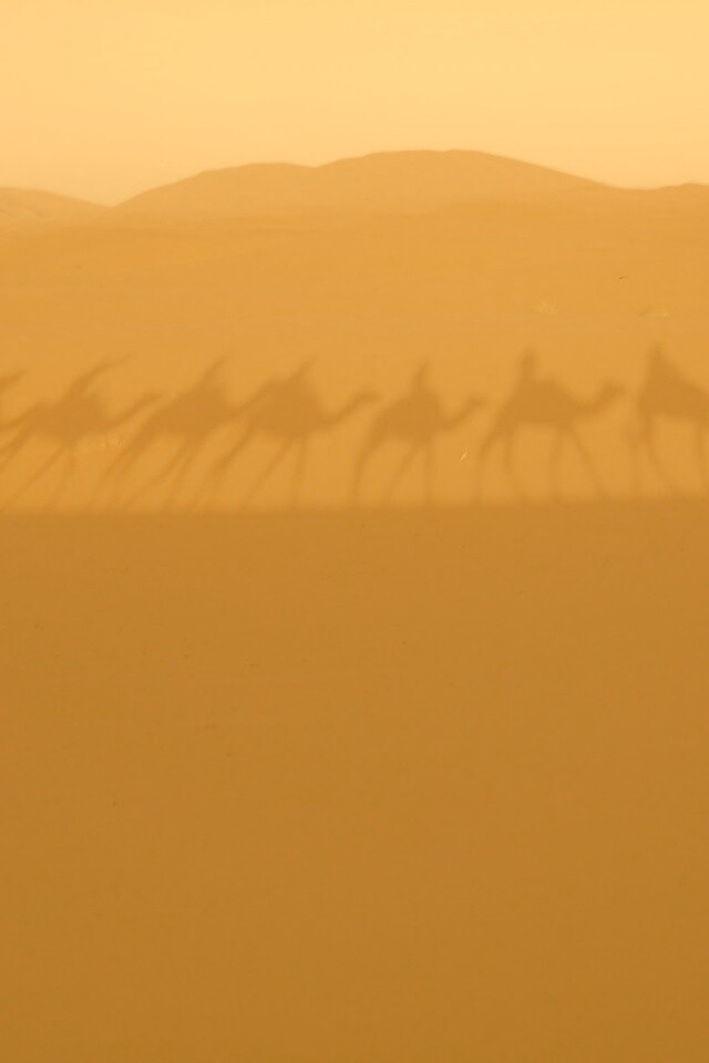 Караван обои