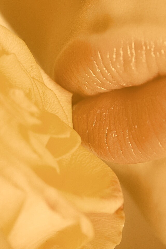 Губы девушки и роза обои