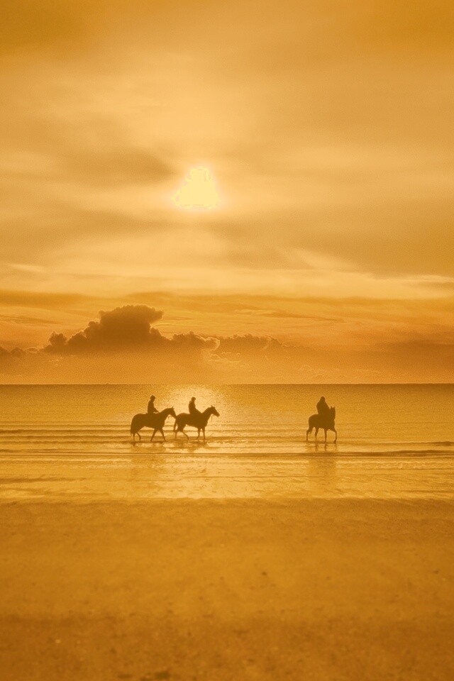 Наездники на закате обои