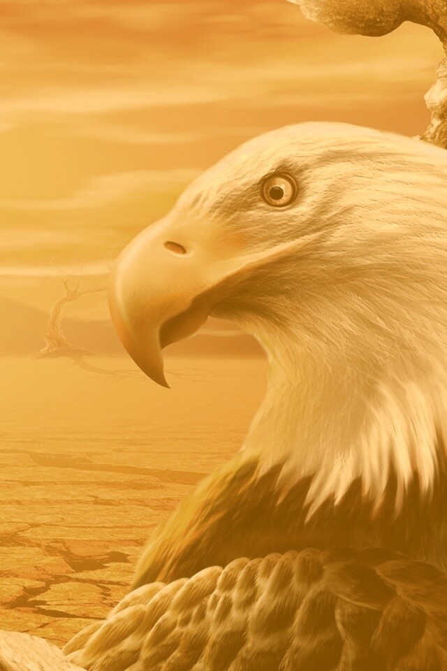 Нарисованный орел обои