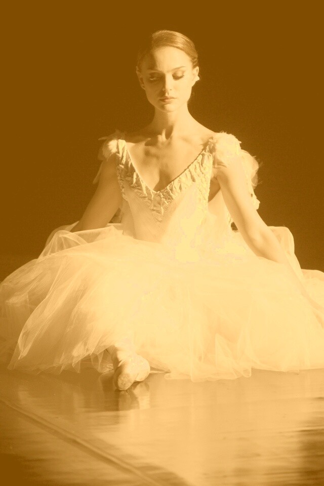 Черный лебедь обои