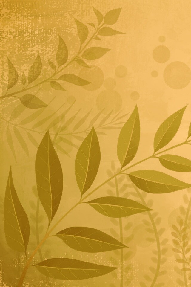 Веточка молодых листьев обои