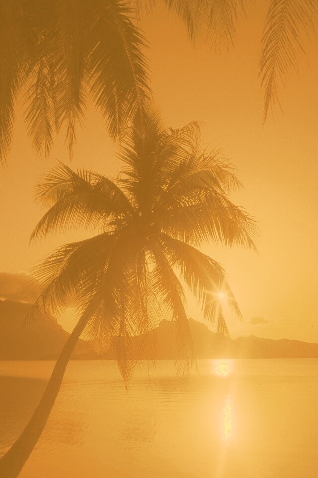 Закат в раю обои