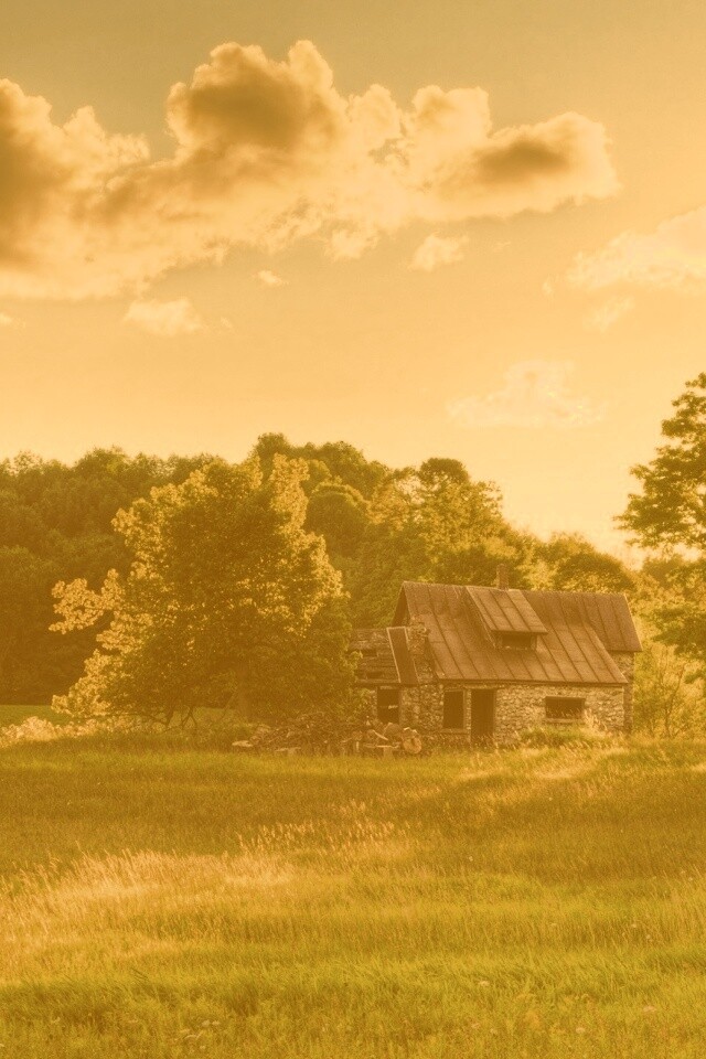 Домик в лесу обои