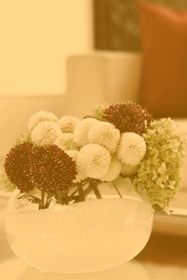 Цветы в белой вазе обои