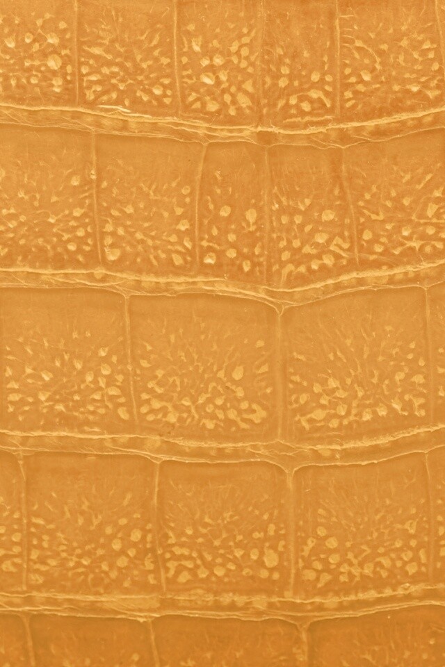Текстура крокодильей кожи обои