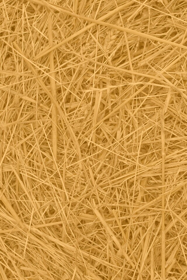 Сено обои