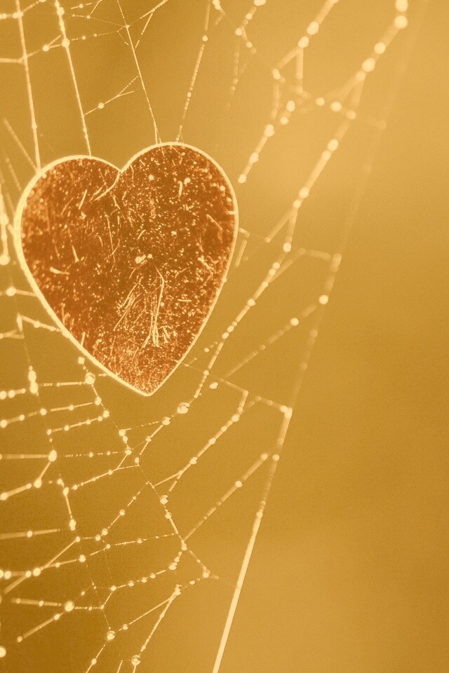 Запутавшаяся любовь.. обои