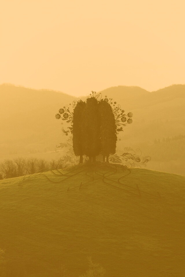 Деревья на холме обои