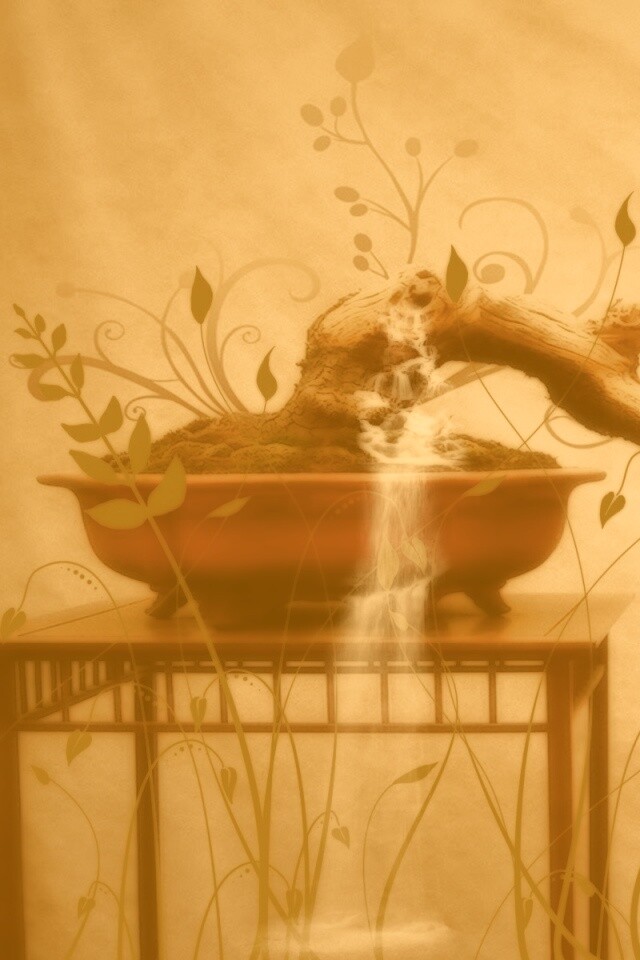 Карликовое дерево обои