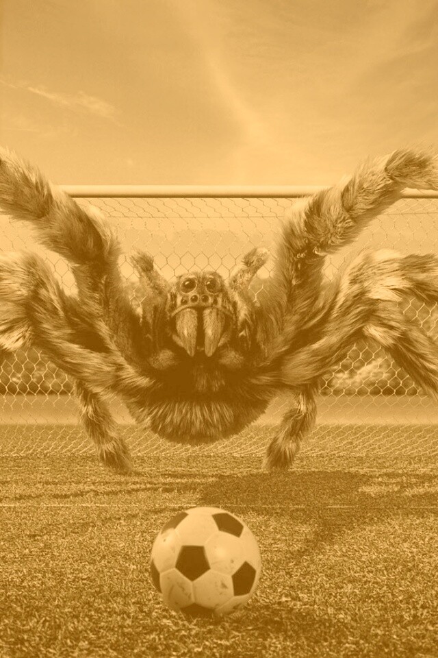 Вратарь обои