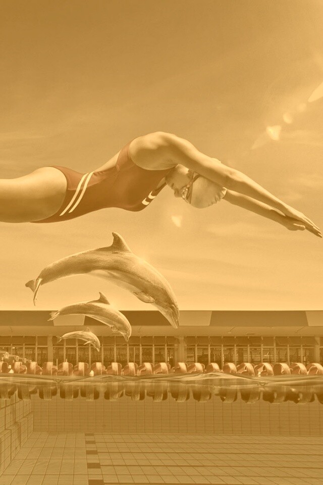 Соревнование обои