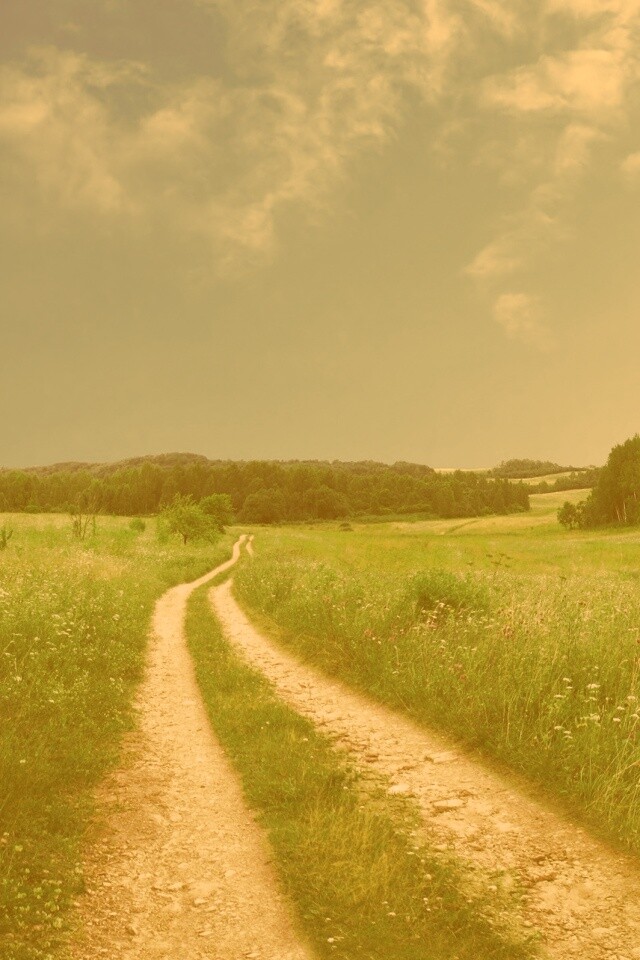 Дорога через луг обои