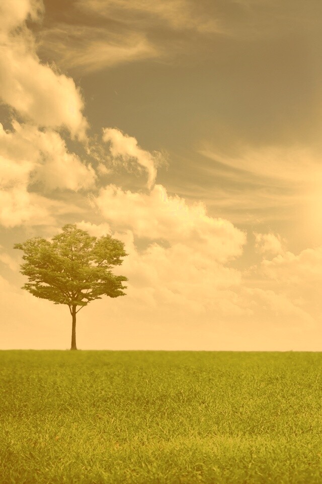 Один в целом мире обои