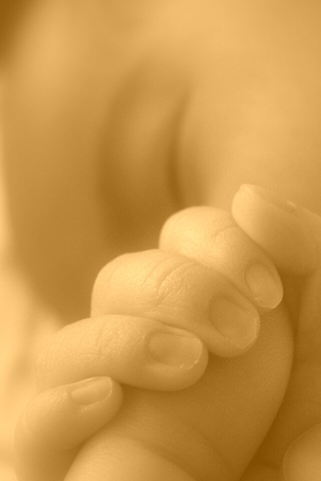 Младенец держит палец обои