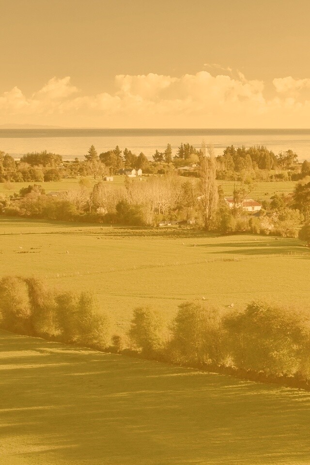 Сельская природа обои