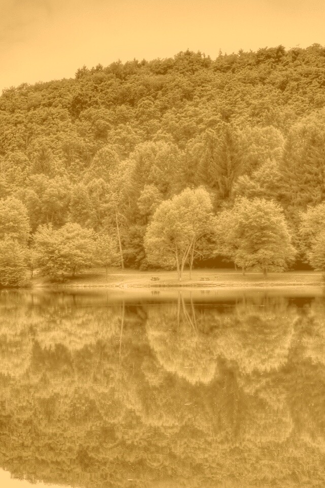 Лесной берег обои