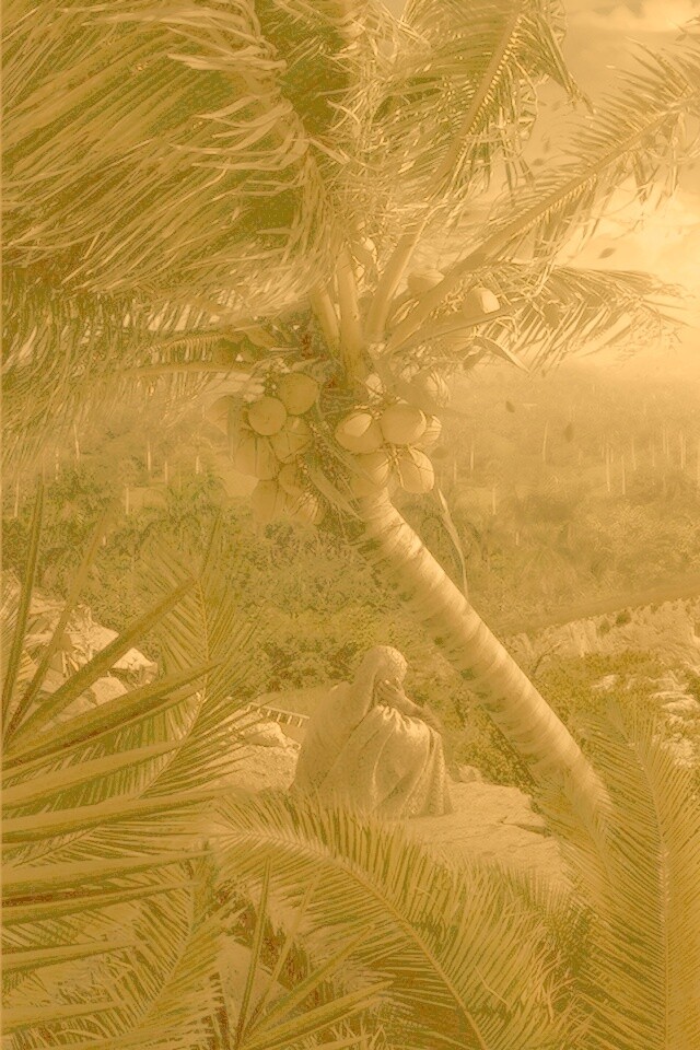 Вид на джунгли обои