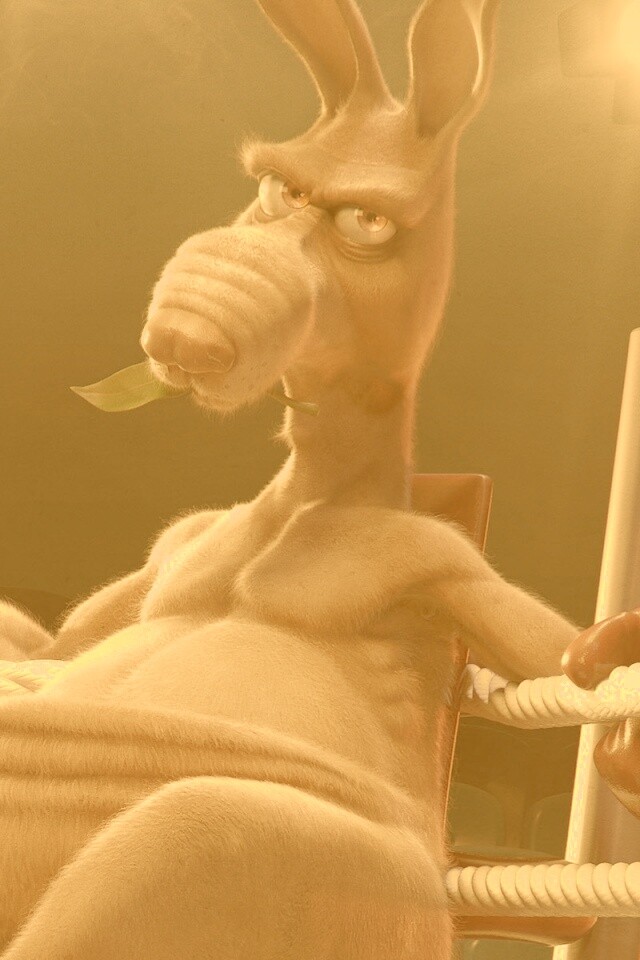 Кенгуру-боксер на ринге обои