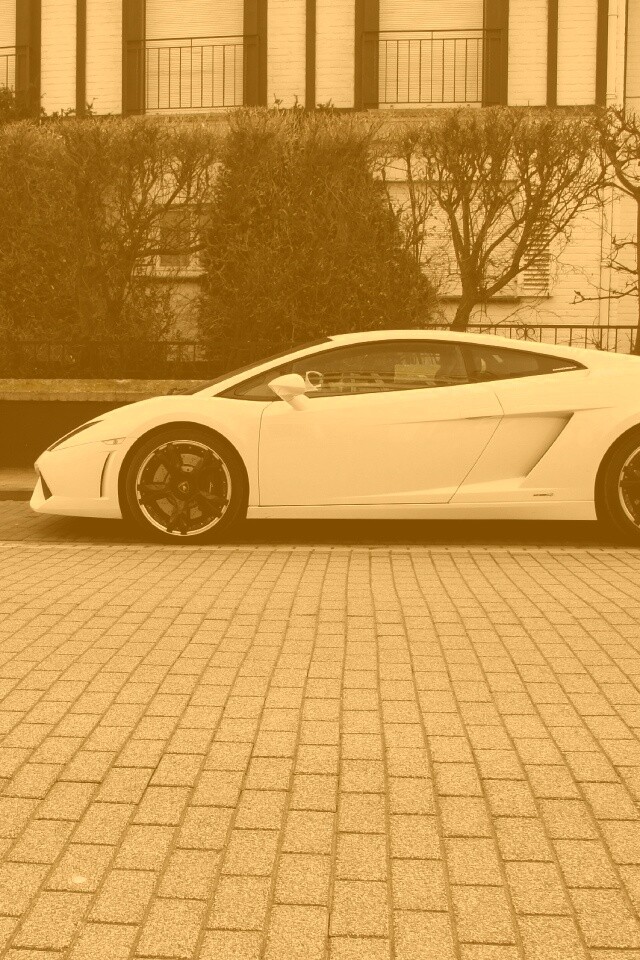 Белый Lamborghini обои