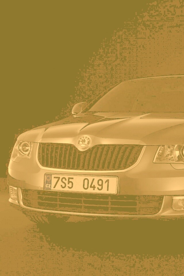 Шкода в темноте обои