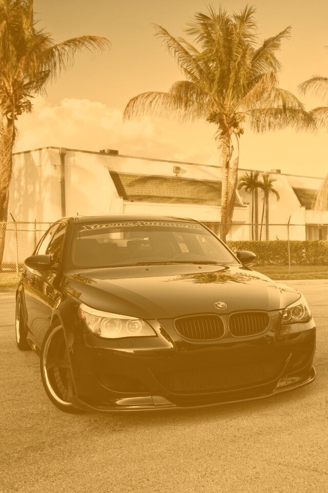 Две БМВ обои