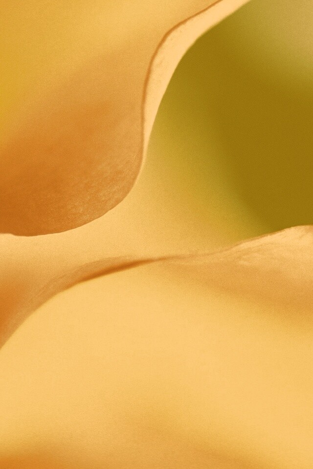 Оттенки природы обои