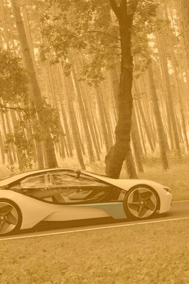 Спорткар BMW на лесной дороге обои