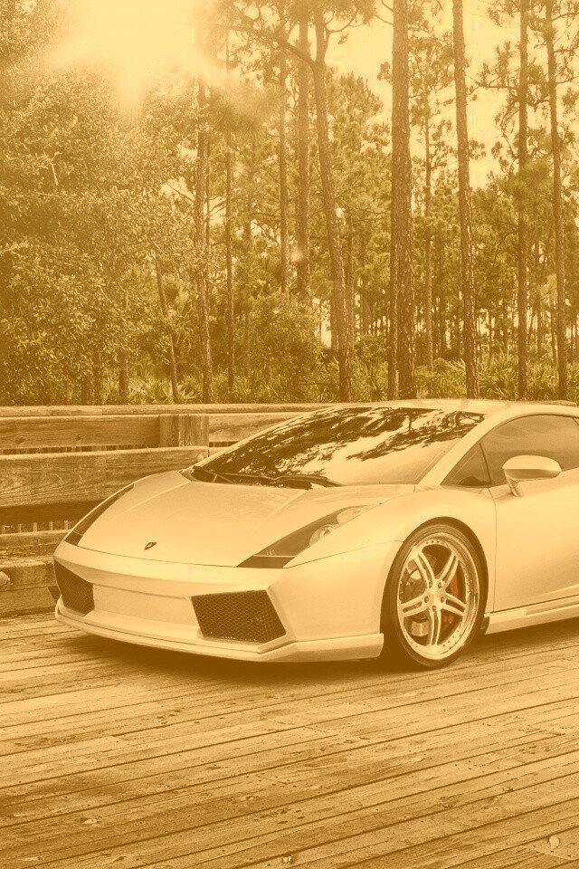 Ламбоджини на мосту в лесу обои