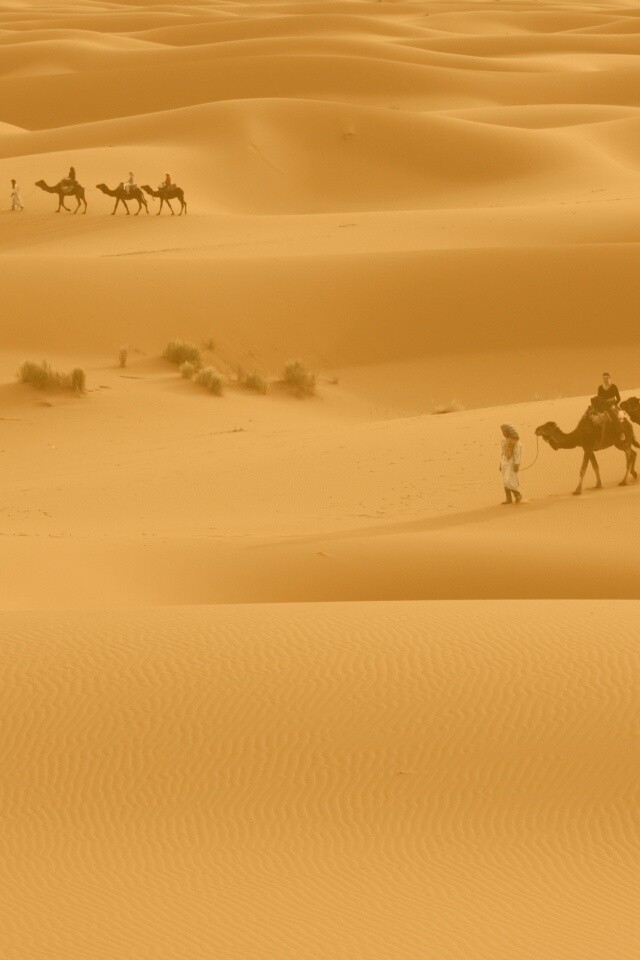 Караваны пустыни обои