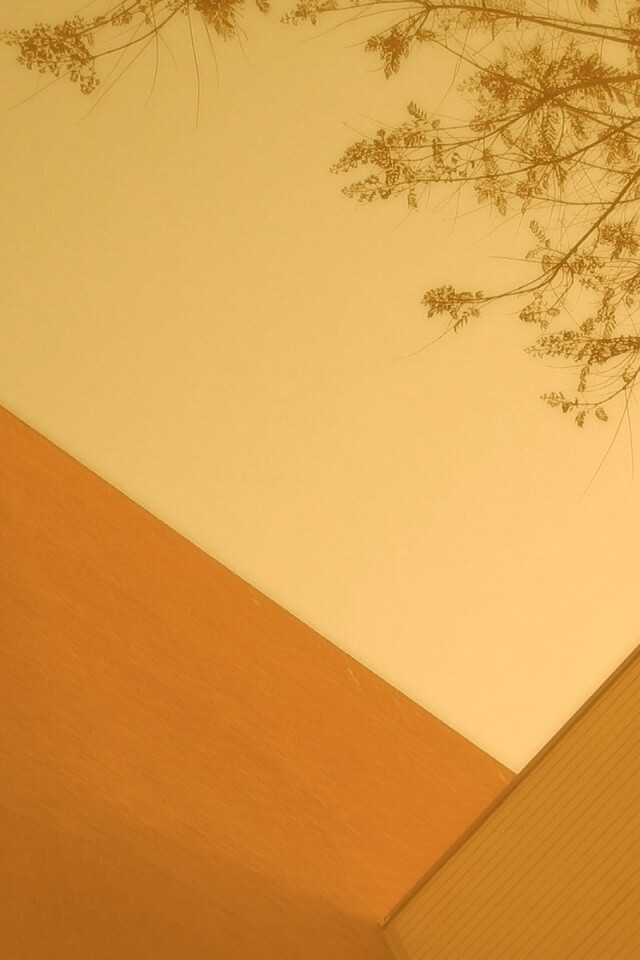 Закругленная стена обои