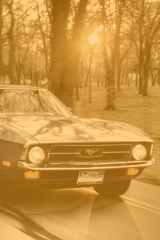 Мустанг обои