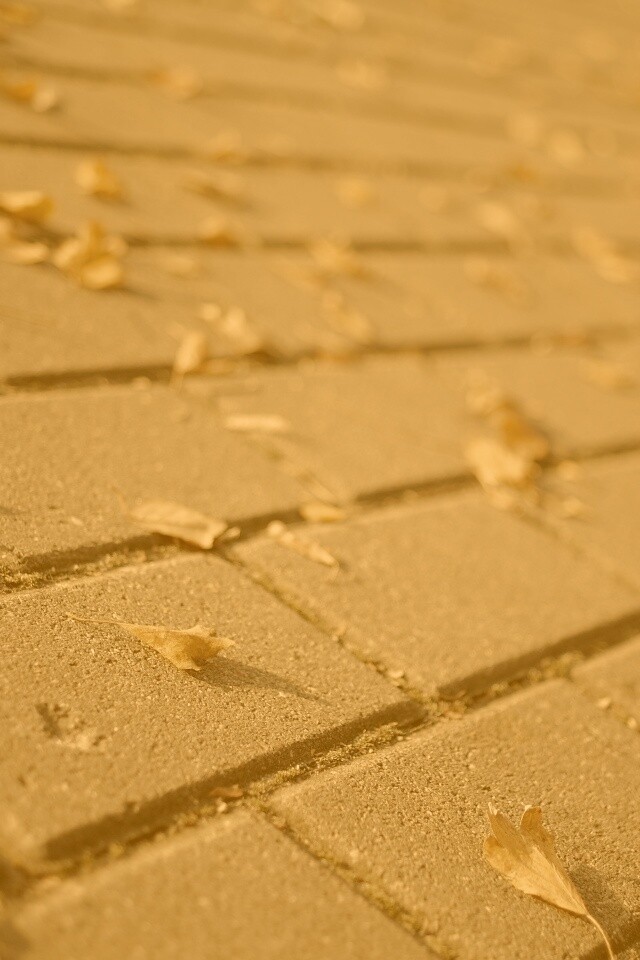 Тротуар обои