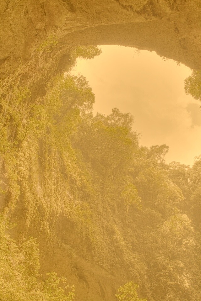 Заросшее ущелье обои