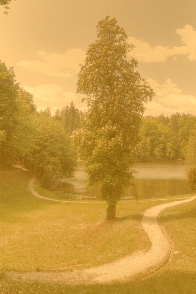 Прекрасная природа обои