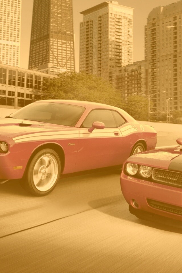 Два розовых мускулкара обои