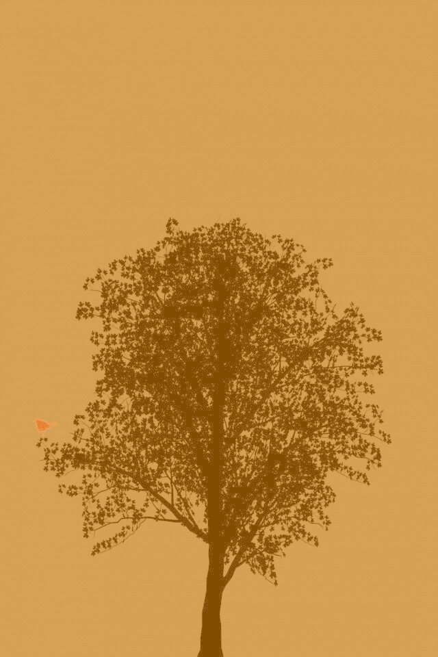 Дерево и птица обои