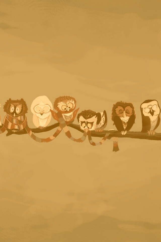 Совы на ветке обои