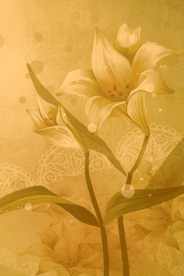 Красивое изображение лилии обои
