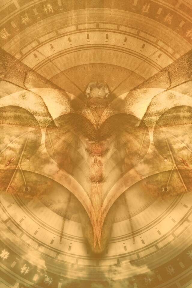 Красивая фэнтезийная бабочка обои