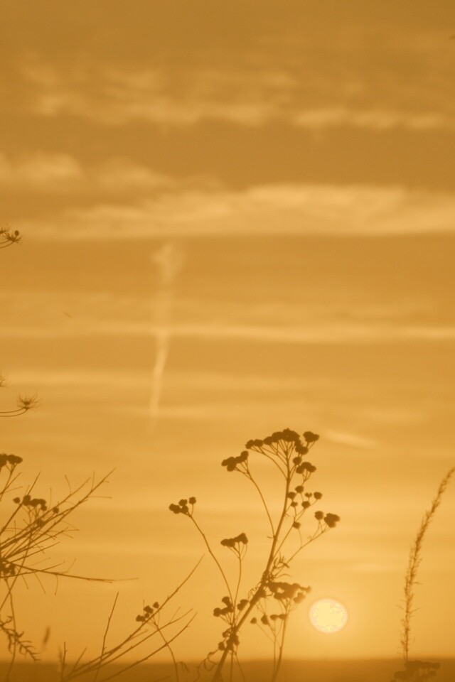 Степной закат обои