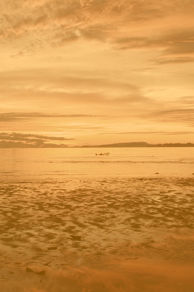 Прекрасный рассвет обои